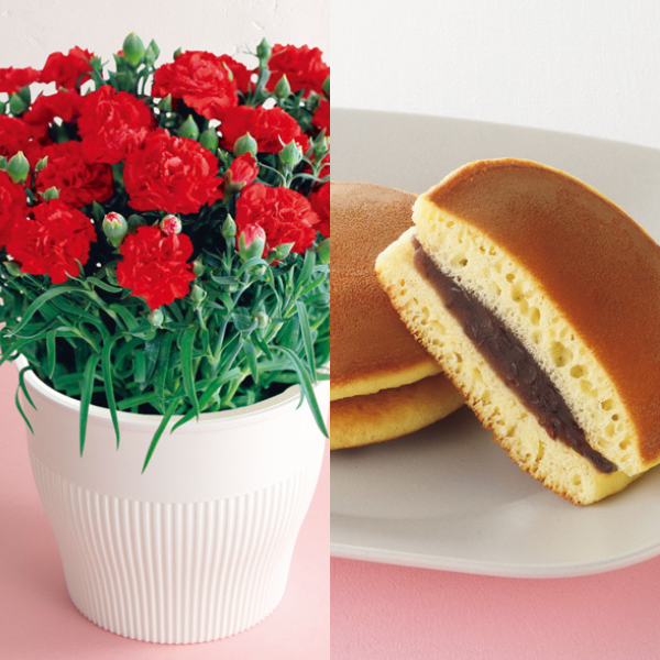 アサミグリーンプランツ カーネーション「伝えたい想い」（SUSTEE付）＋花菓蔵 粒あんどら焼き【母の日】 商品サムネイル